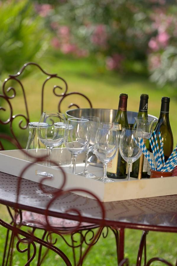 Le Charles IX Apartment Roussillon  Екстериор снимка